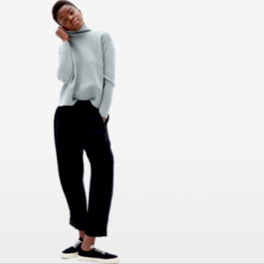 Everlane Put Together Pleat Pant